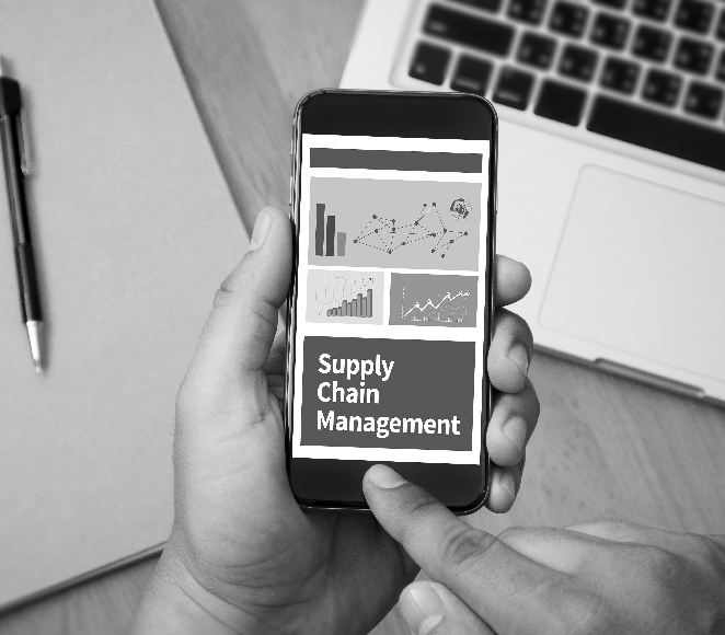 מסחר אלקטרוני ושרשרת האספקה בארגון